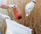 plastic.jpg